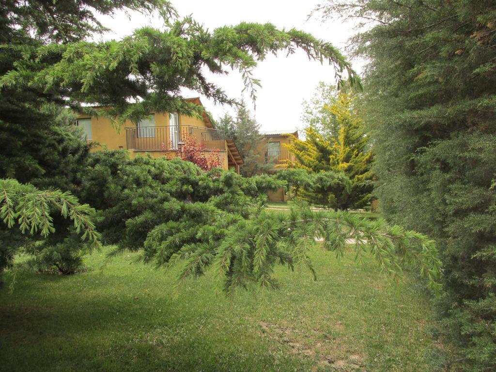 Cabanas Los Arreboles Potrerillos Exterior foto